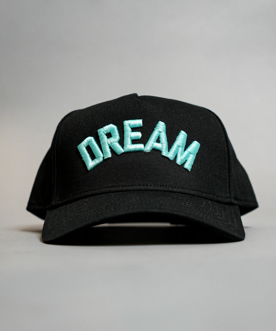 Tiffany Blue Dream Big Curve Brim Snapback