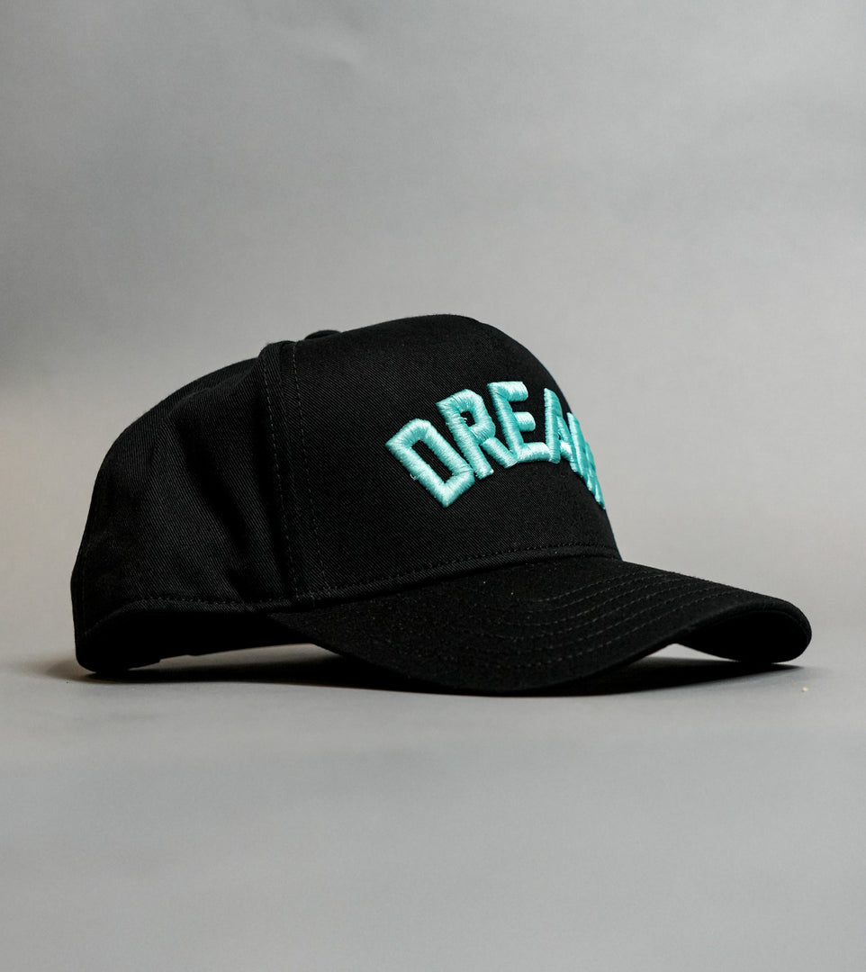 Tiffany Blue Dream Big Curve Brim Snapback